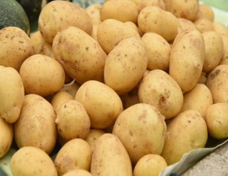 Poljoprivredna proizvodnja